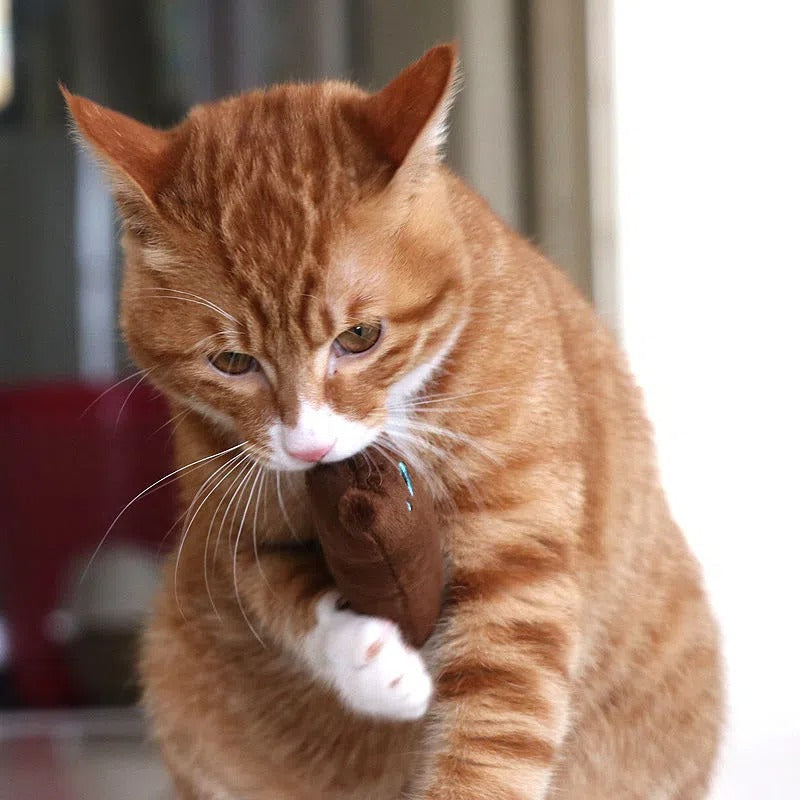1pc Cat Design Cat Teaser Toy