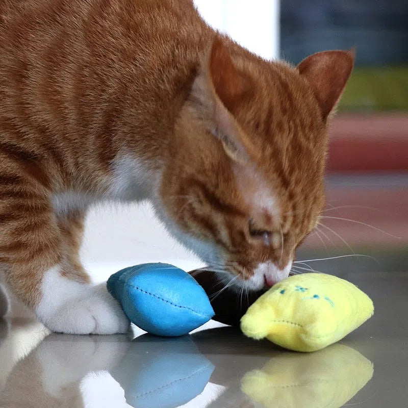 1pc Cat Design Cat Teaser Toy